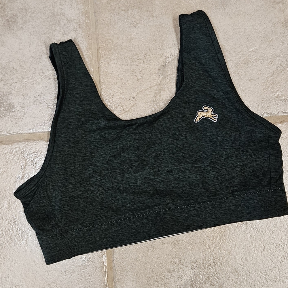 Tracksmith Session Bra